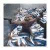 Gatitos memes random 14