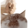 Risas  9