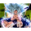 Goku 4 30