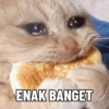 Meme Kucing #4 10