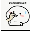 Meme TikTok  17