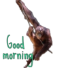 Good morning  7