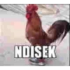 Burik meme 11