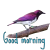 Good morning  23