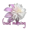 Good morning  20