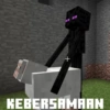 Minecraft momen 10