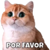 Gatos - Saludos 28