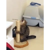 Cats meme 5