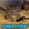 María Clara  25