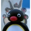 Pingu Yo 8