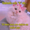 Frases de la semana :) 14