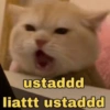 Meme TikTok  29