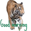 Good morning  15