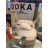 Gatitos memes random 13