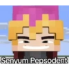 Minecraft momen 14