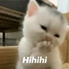 Meme TikTok  24