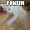 Meme TikTok  28