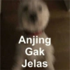 Meme anjing🐶 17