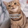 Meme semangat  10