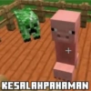 Minecraft momen 12
