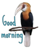 Good morning  24