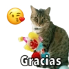 Gatos - Saludos 29