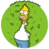 Homero 12
