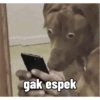 Meme anjing🐶 13