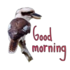 Good morning  12