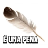 Fresco em acao  25