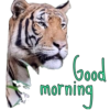 Good morning  19