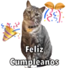 Gatos - Saludos 26