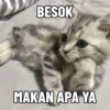 Meme Kucing #4 5
