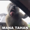 Meme TikTok  13