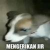 Meme anjing🐶 18