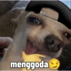Meme anjing🐶 9