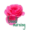 Good morning  9