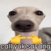 Meme anjing🐶 5