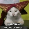 Cat meme kucing🔥 5