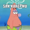 Meme TikTok  10