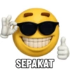 Meme sepakat 9