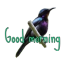 Good morning  6