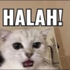Meme TikTok  27