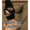 Meme anjing🐶 20
