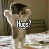 Hug / peluk  2