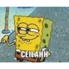 Keluarga ikan Spongebob  12