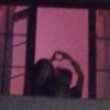 Amor ou fofura 14