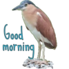 Good morning  22