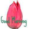 Good morning  18