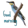Good morning  11